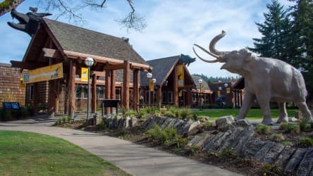 Free First Friday at the Museum at Museum of Natural and Cultural History