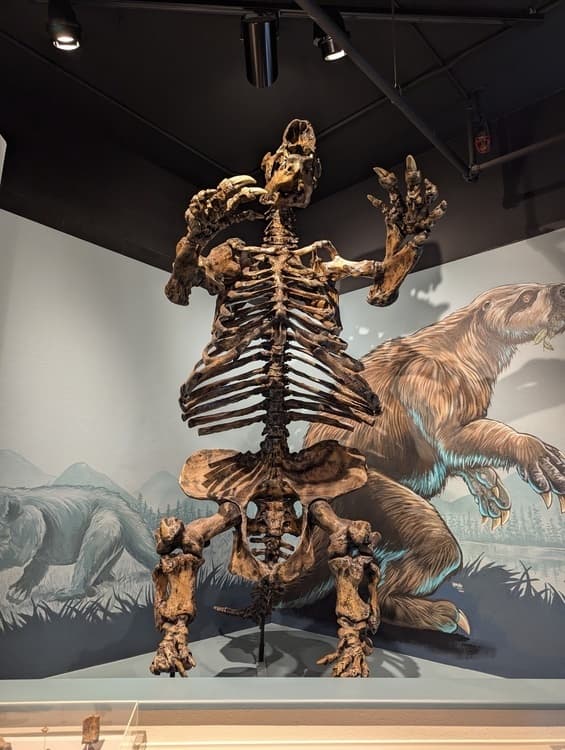 Explore Oregon at Museum of Natural and Cultural History