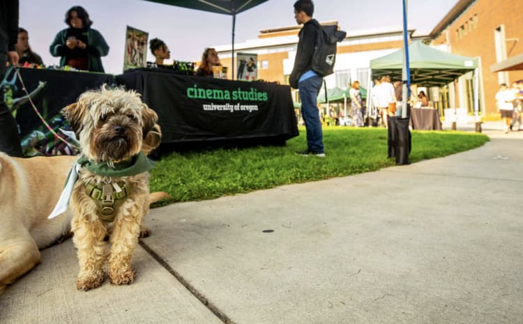 Therapy Dogs at Student Welcome Center